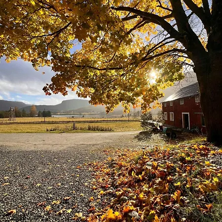 Semesterbostad Historic Farm From The 1500s In Valle